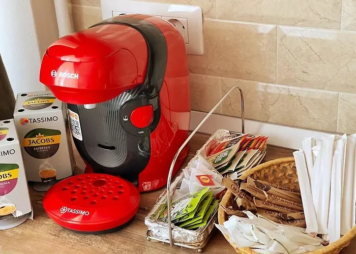 A Unique Ultra-central, Modern Timişoara