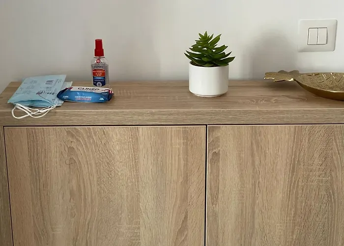 A Unique Ultra-central, Modern Timişoara