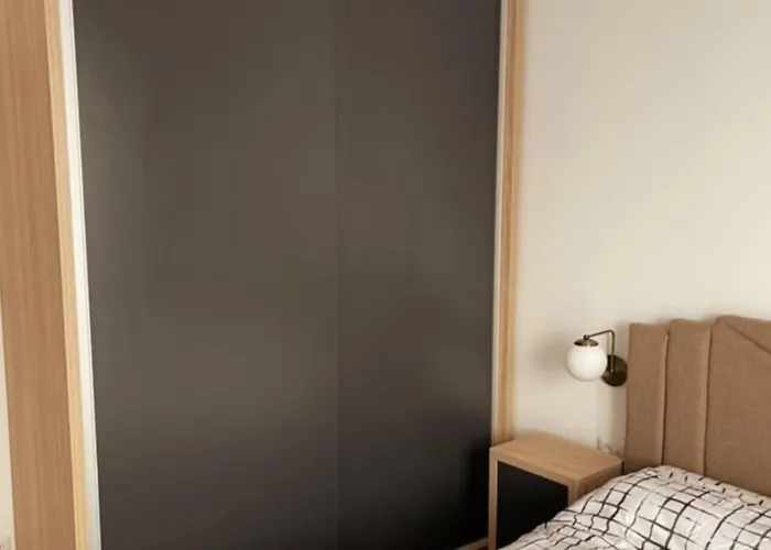 A Unique Ultra-central, Modern * טימישוארה